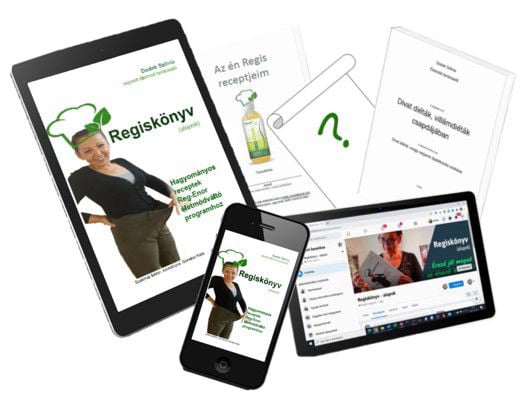 Regiskönyv (alapok) online változat
